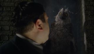 Owl creature in Fantastic Beasts: The Crimes of Grindelwald