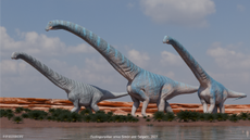 a group of giant long necked dinosaurs walking in a river