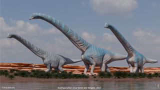 a group of giant long necked dinosaurs walking in a river