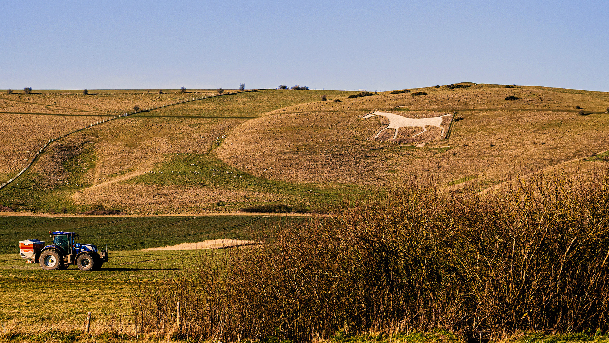 Carving of a white horse on hillside with tractor in foreground