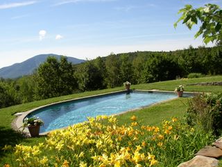 pool landscape ideas using daylilies in a border