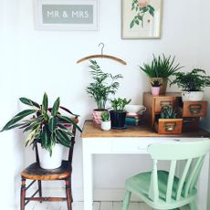 room with table and plants