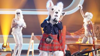 McTerrier on The Masked Singer on Fox