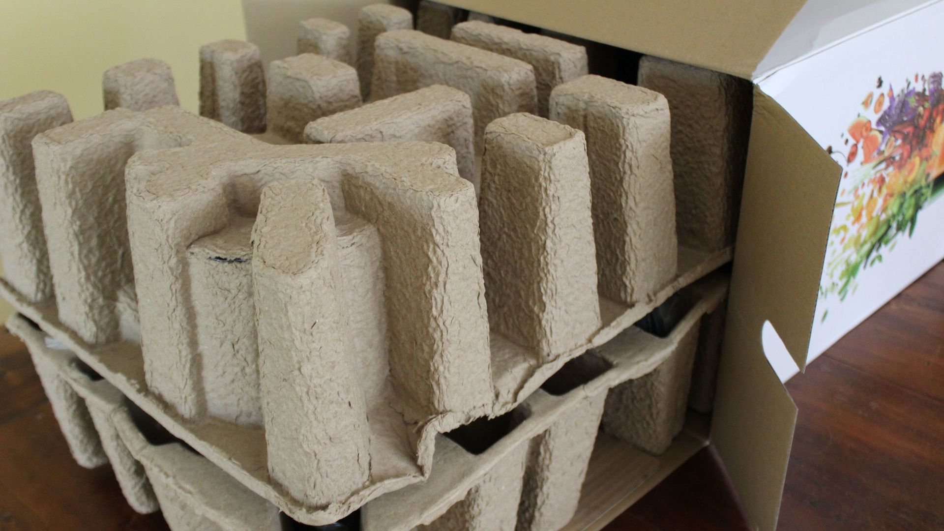 Breville Juice Fountain Cold Plus in the box with cardboard packaging