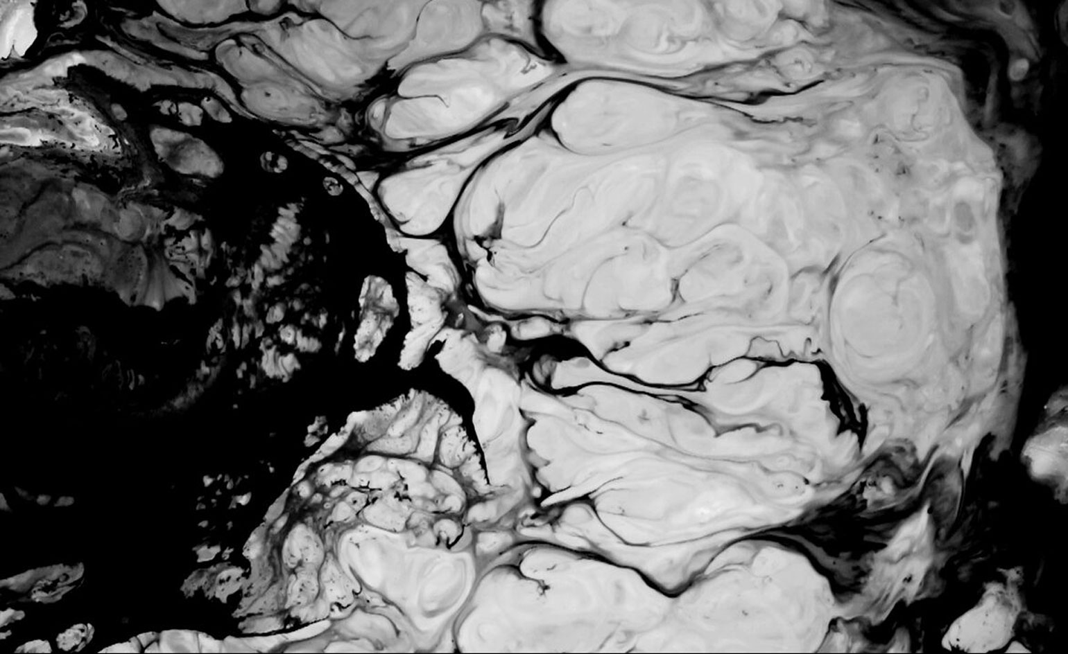 Between Art & Science