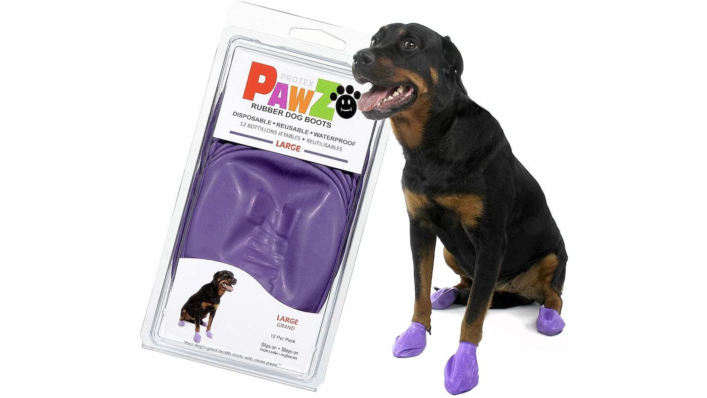 Purple Pawz dog shoes