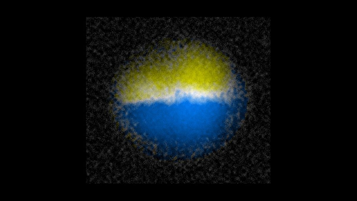 researchers discovered how to create and manipulate a quantum phenomenon known as a &quot;domain wall&quot; - shown in this image as the lighter line between two groups of atoms. (Image adapted and color added from experiment data.)