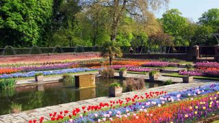 Garden, Botanical garden, Flower, Botany, Spring, Plant, Tulip, Pond, Tree, Shrub,