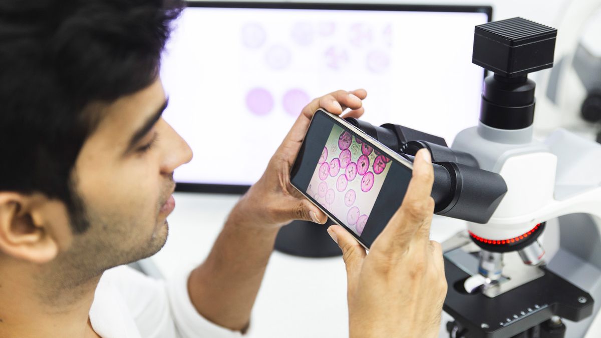 How to photograph your microscope specimens