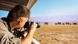 A photographer captures elephants on safari