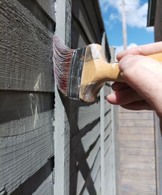 How to paint a fence