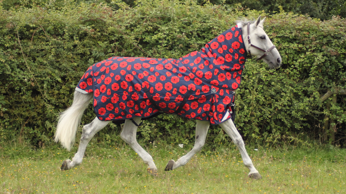 MT-Poppy-Rug-Edit-2.jpg