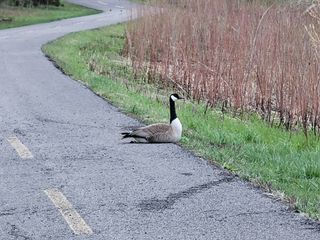 Samsung Galaxy S21 Ultra camera samples