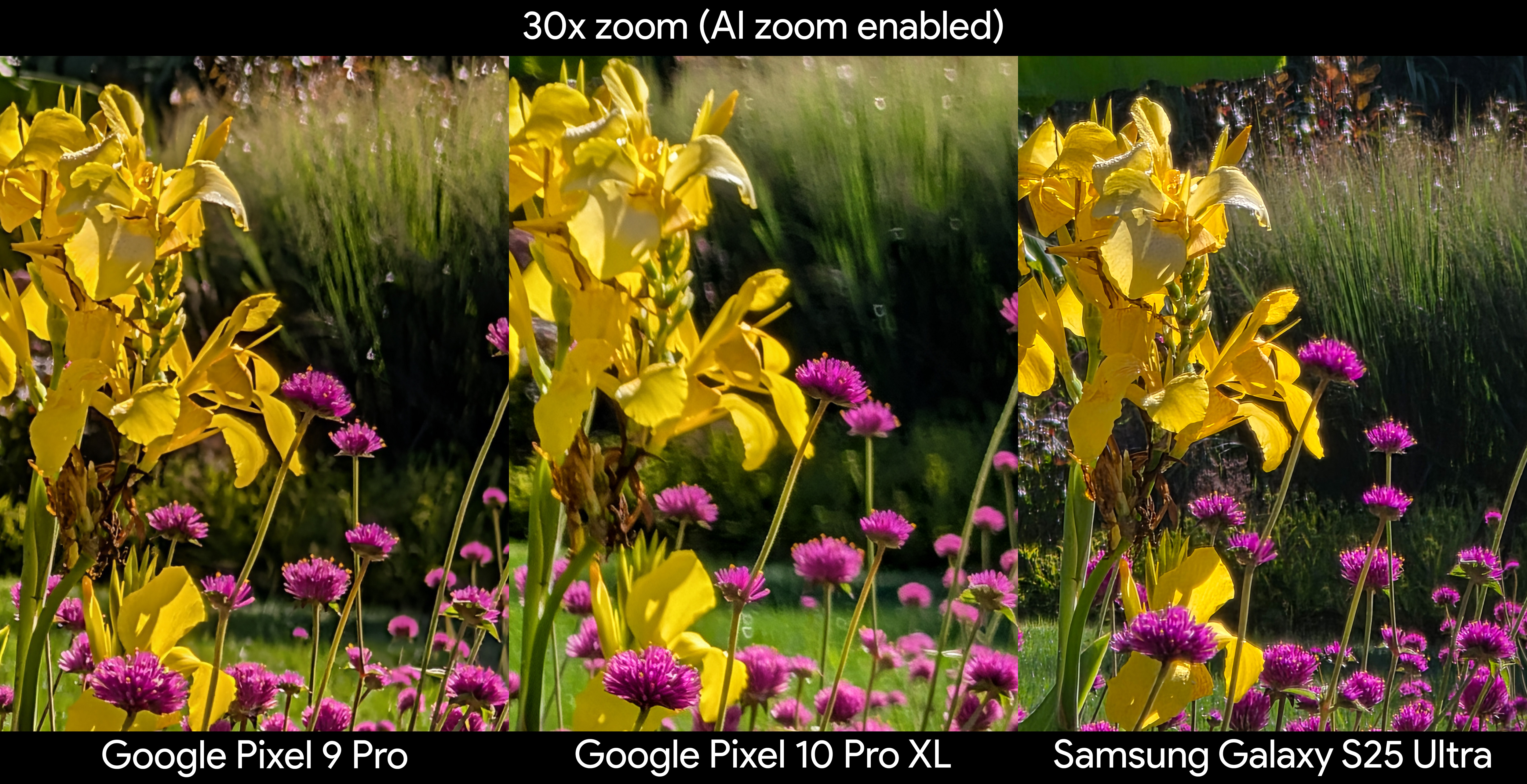 Comparing 30x zoom quality between a Google Pixel 9 Pro XL, Google Pixel 10 Pro XL, and a Samsung Galaxy S25 Ultra