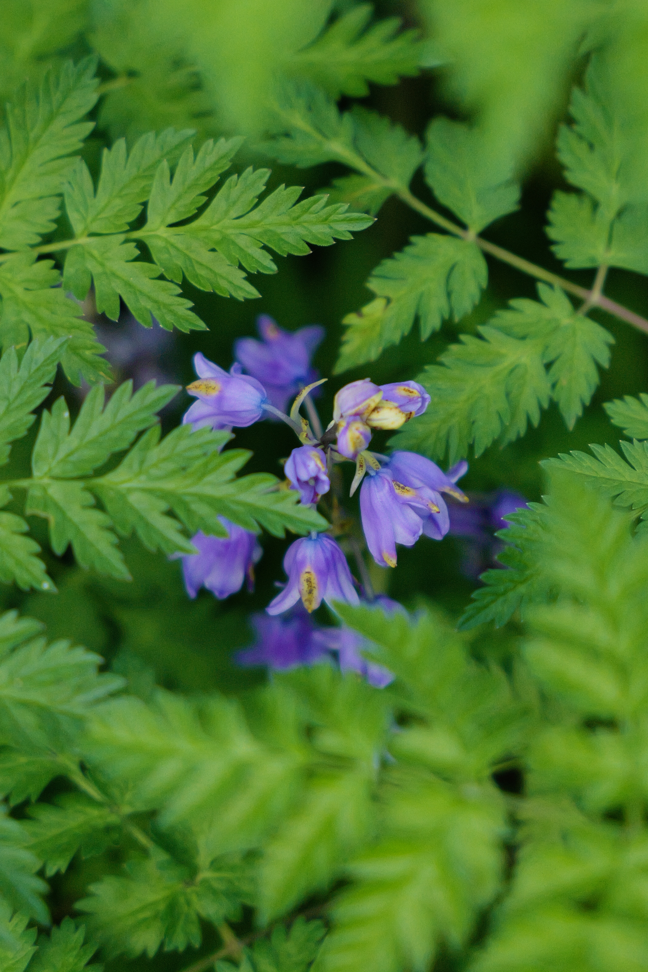 A photo taken on a Leica SL3-S mirrorless camera