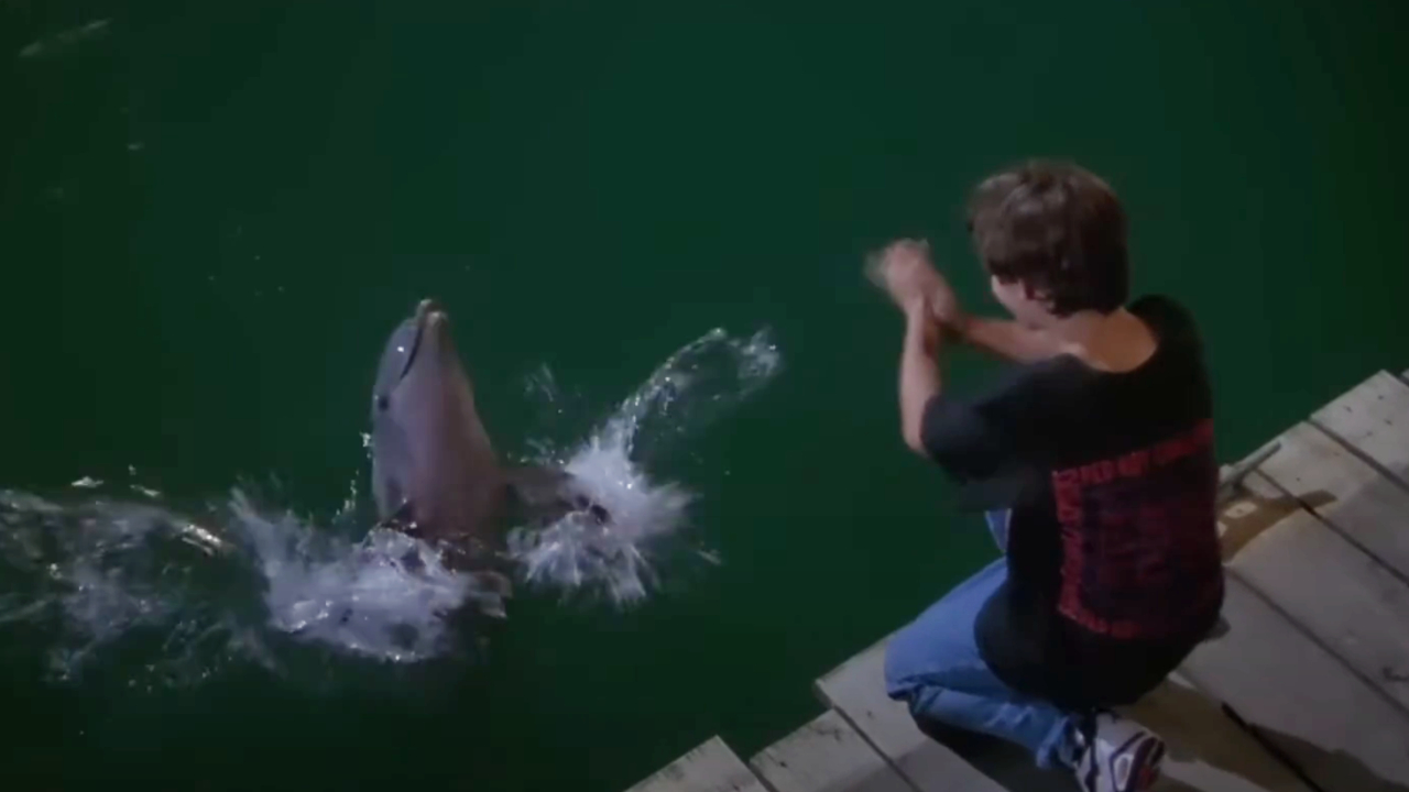 Elijah Wood in Flipper