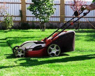 Gardener by electric lawn mower cutting green grass in the garden. Garden meadow lawn cutting.