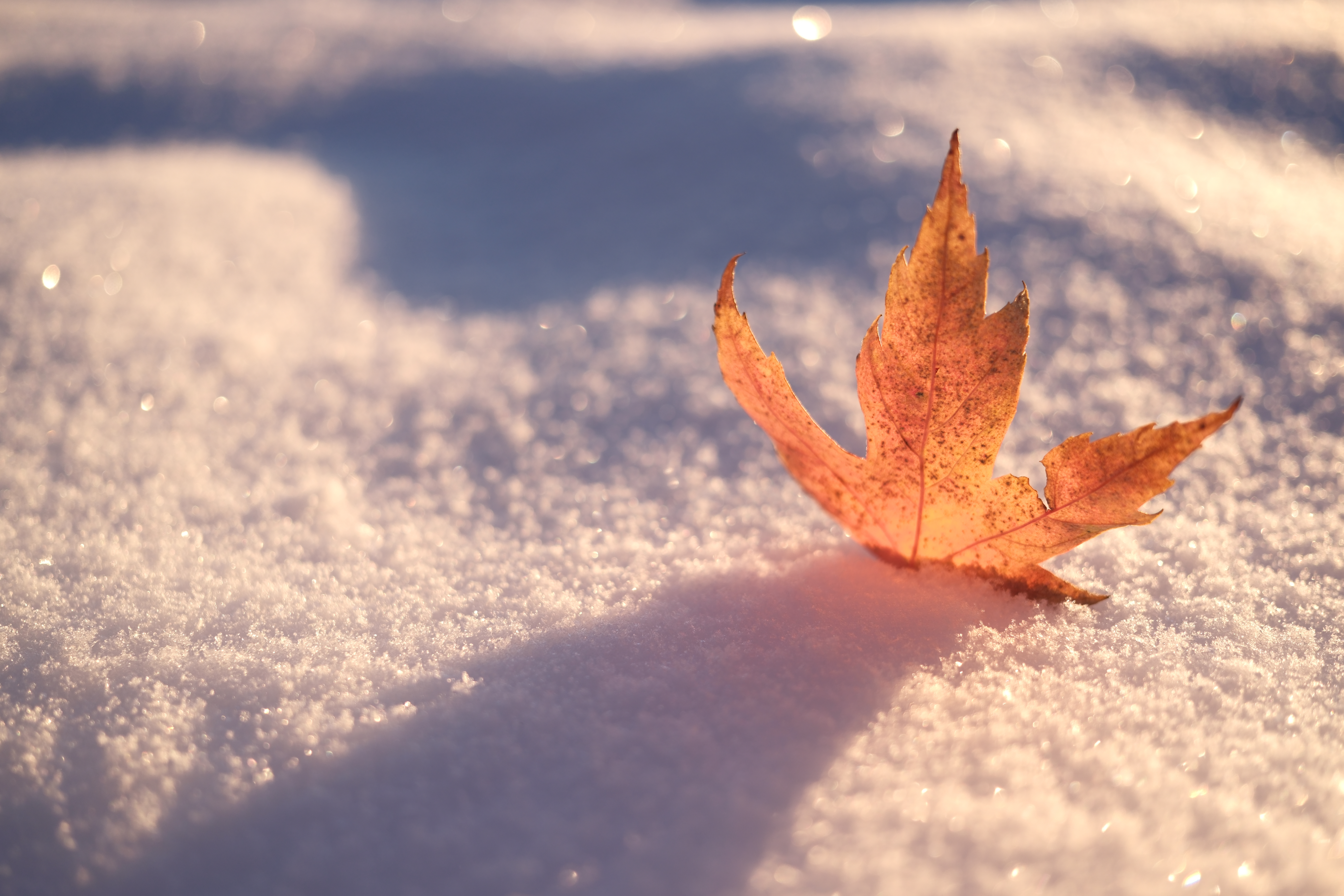 A photograph taken with the Fujifilm XF 23mm f/2.8 R WR and the X-E5