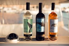 Tinazzi_Cantine_San_Giorgio_Jonian_Dolphin_boat.jpg