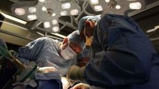 Surgeons carrying out an organ transplant