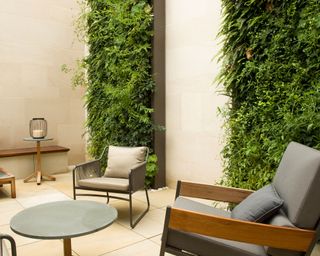 A contemporary patio area with a round table and chairs next to a fern living wall