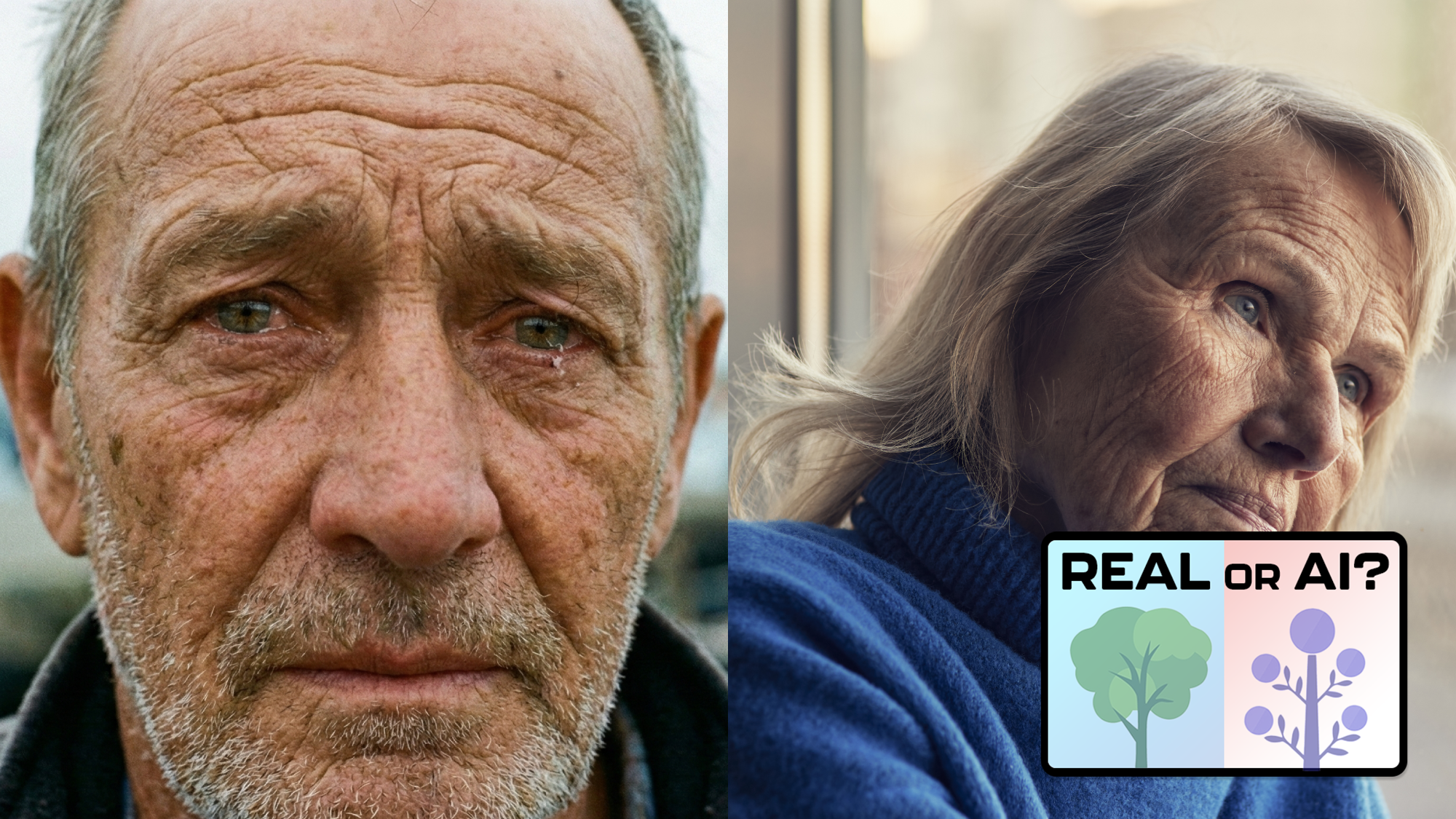Real vs AI