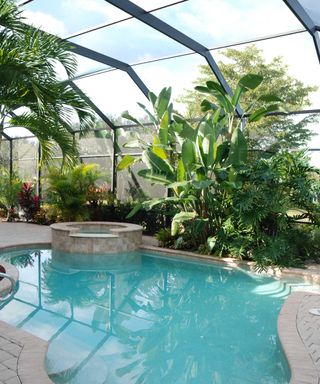 enclosed pool with tropical plants