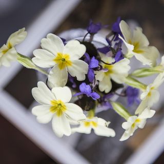 Overview of white and yellow flowers and purple flowers in a vase.