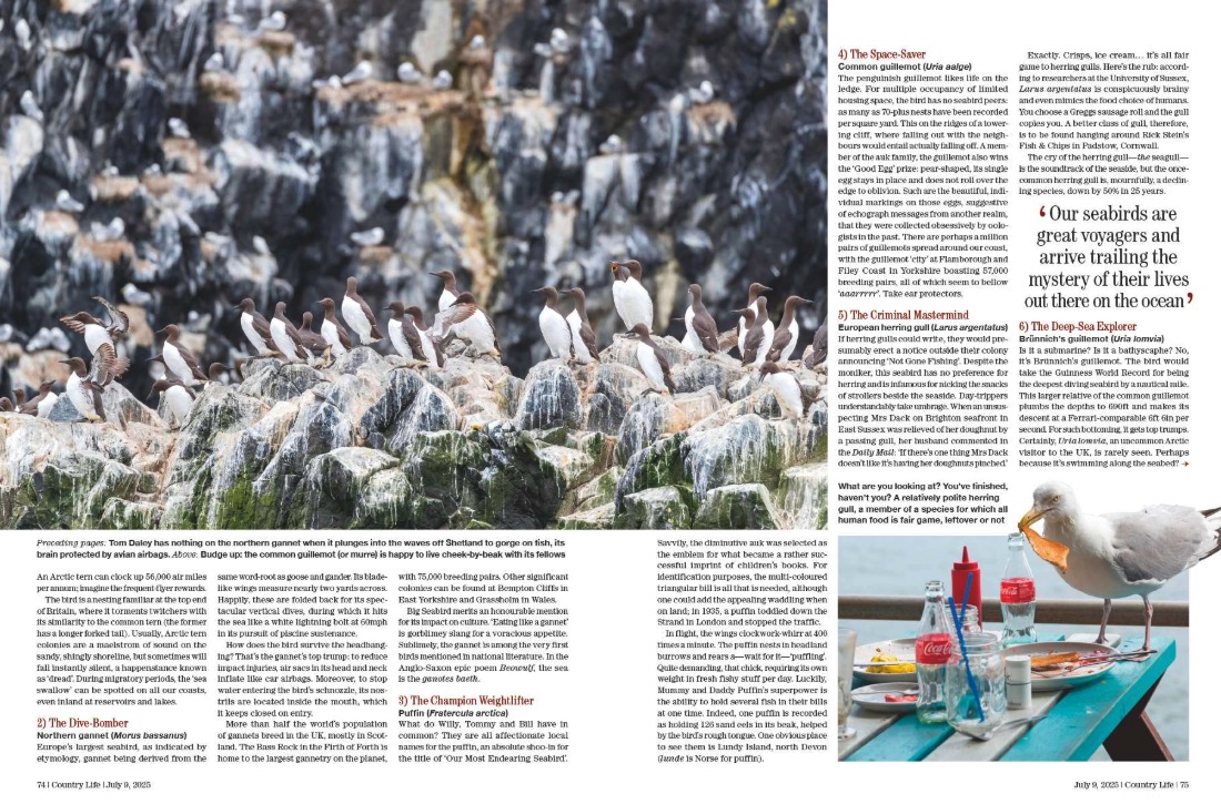 Magazine spread from Country Life 9 July 2025