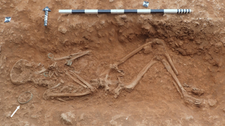 A skeleton of a young woman in rust-colored soil with the outline of a cup visible near her head with a white arrow pointing to it.