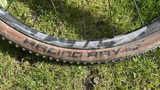 Schwalbe Racing Ray side shot