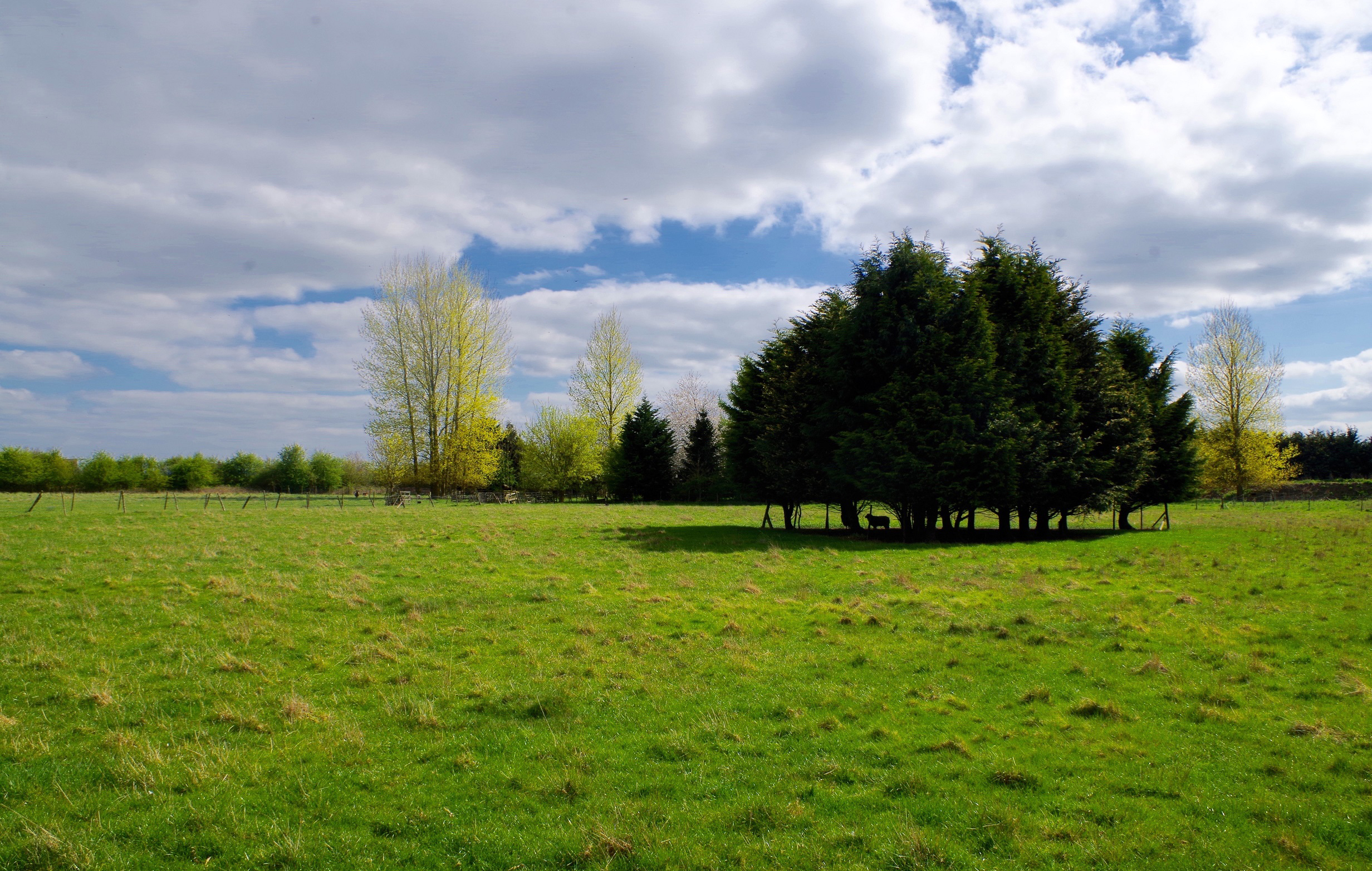 Duffledown Farm_88914752_196626181