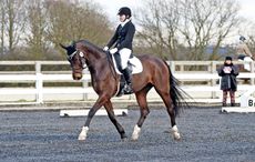 NORTON-HEATH-NEW.jpg