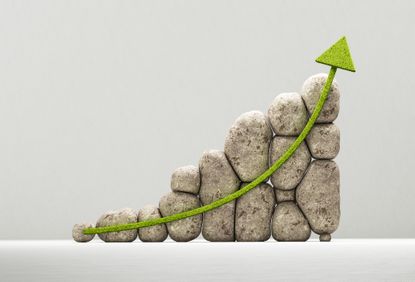 upward arrow of grass rising from well stacked rocks