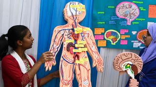 What are the heaviest organs in the human body? - Latest news, breaking