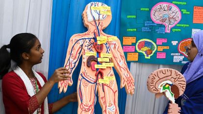 a school age girl with dark brown skin presents a simplified diagram of the human body to a teacher. the diagram depicts various organ systems and is labelled with yellow sticky ntoes