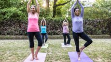 Four women in a park practicing tree pose