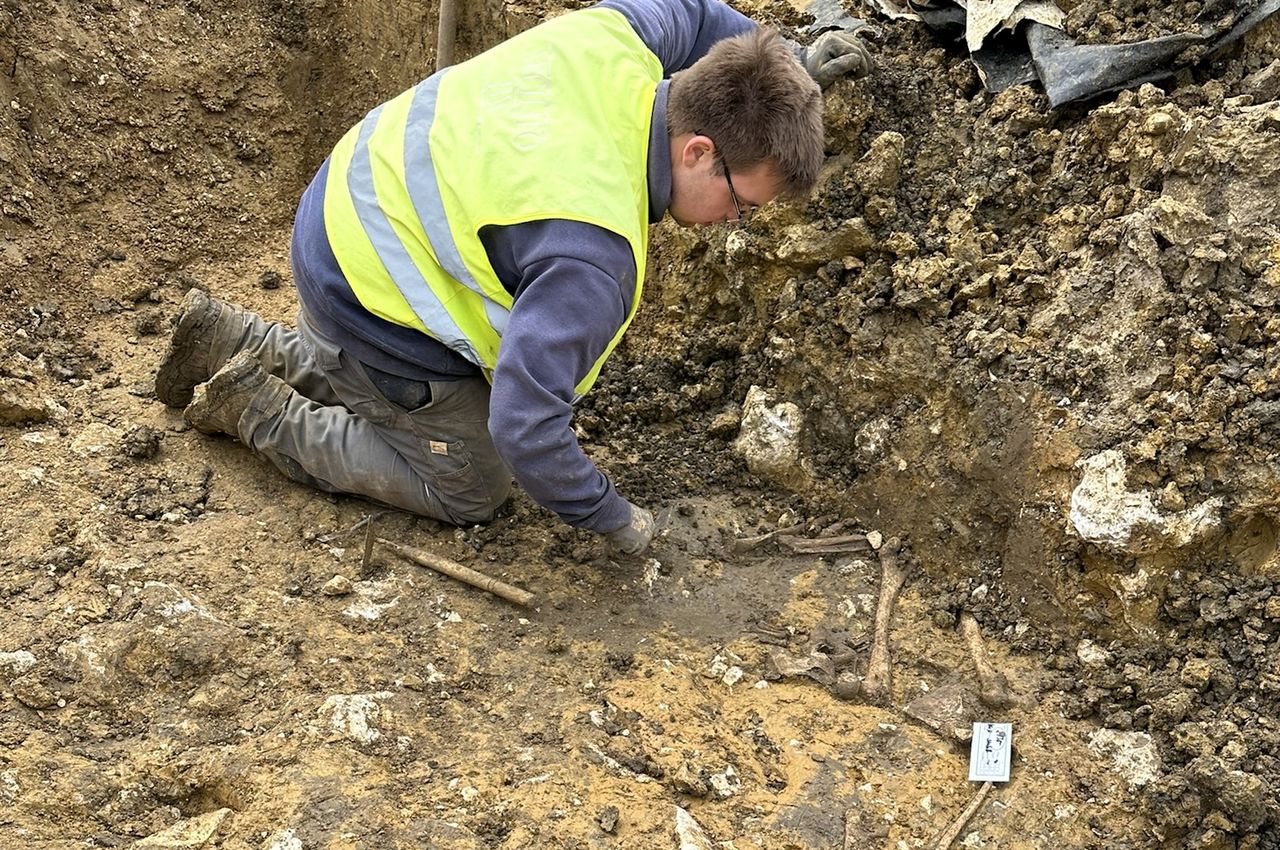 A man digs in an excavation site with visible bones around him