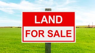 What Is Landmaxxing? Why Wealthy Homeowners Are Buying the House Next Door