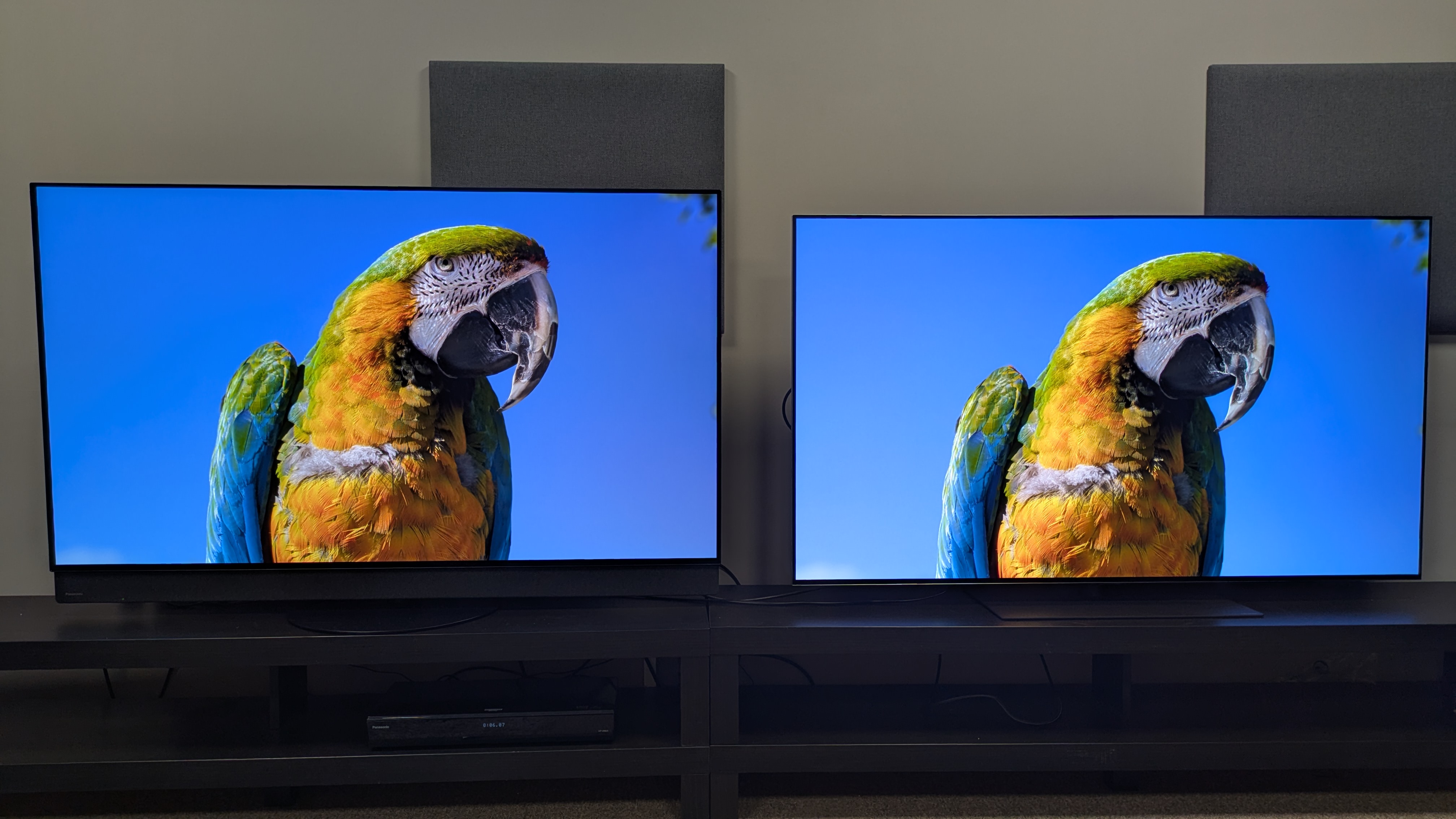Panasonic Z95B (left) and LG G5 (right) displaying yellow and green parrot on screen with the Z95B in its default settings 
