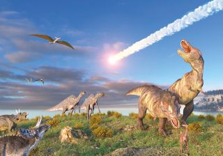 Dinosaurs and an incoming asteroid