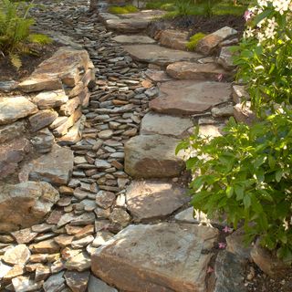 garden with rocky pathway