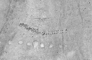 Aerial photographs of geoglyphs and rock cairns located in the pampa directly above Quilcapampa.