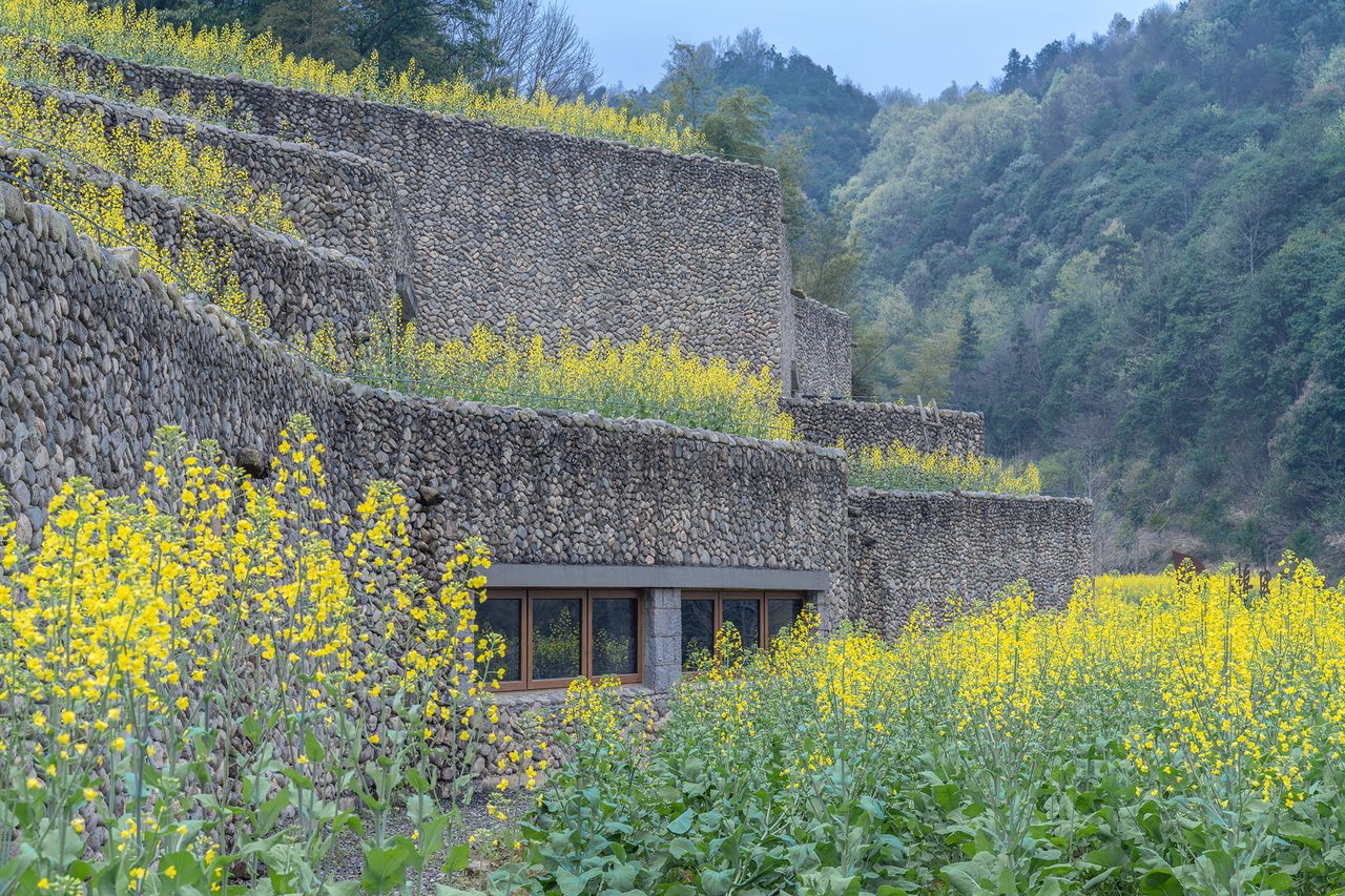 Qingxi Culture and History Museum by UAD among greenery