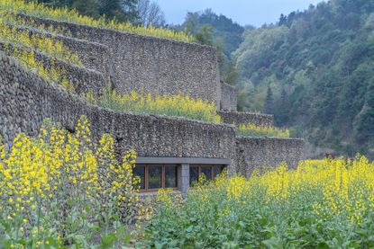 Qingxi Culture and History Museum by UAD among greenery