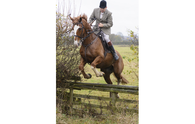 Kimblewick-Hunt-Standalls-22Nov14-191