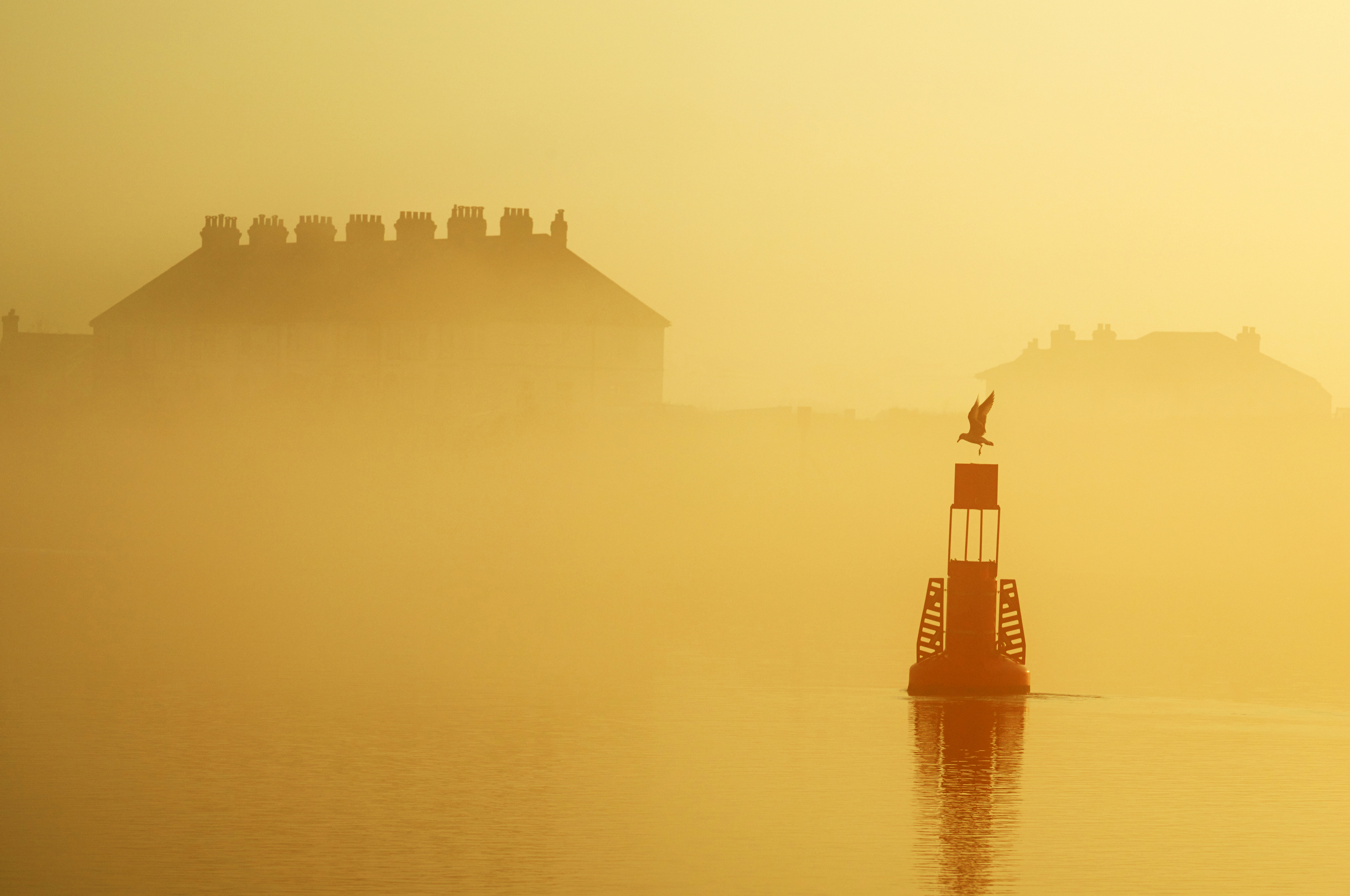 River Deben shrouded in fog. A single bird is taking off from a buoy