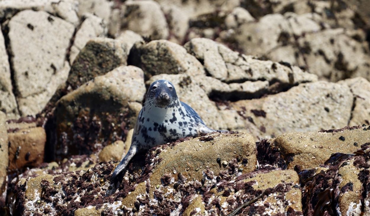 The Agenda: 10 Things You Won't Want To Miss This April