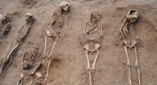 black-death-burial-pit
