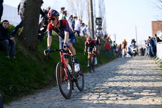 HARELBEKE BELGIUM MARCH 25 Dylan Van Baarle of Netherlands and Team INEOS Grenadiers competes in the breakaway through Kwaremont cobblestones sector during the 65th E3 Saxo Bank Classic 2022 a 2039km one day race from Harelbeke to Harelbeke E3SaxobankClassic WorldTour on March 25 2022 in Harelbeke Belgium Photo by Tim de WaeleGetty Images